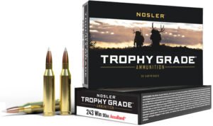 Nosler Trophy Grade 243 WIN - 90GR Accubond Tip 20RD 10BX/CS