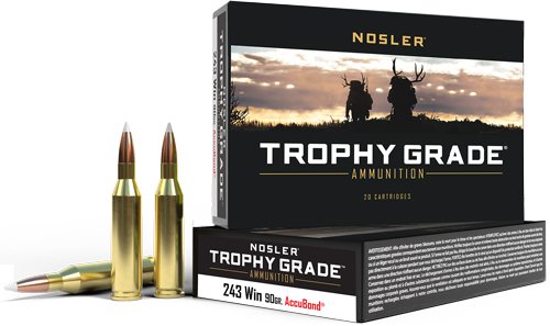 Nosler Trophy Grade 243 WIN - 90GR Accubond Tip 20RD 10BX/CS