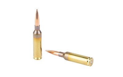 Berger Elite HNT 6mm CM 108GR 20/200 - Image 4