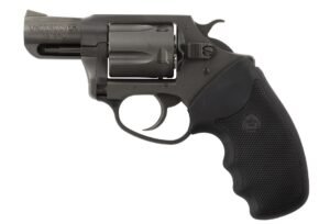 Charter Arms Charter Undercover 38SP Nit 2"
