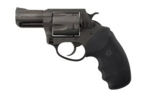 Charter Arms Charter Pitbull 40SW Nit 2" FS