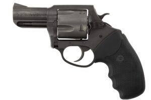 Charter Arms Charter Pitbull 45ACP Nit 2.5"