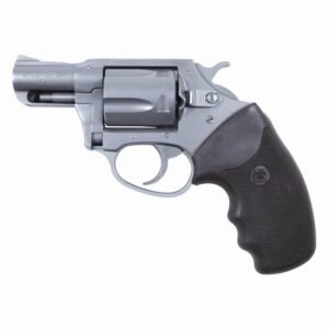 Charter Arms Charter Undercover 38SPC SS 2"