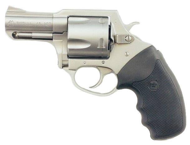 Charter Arms Charter Pitbull 45ACP SS 2.5"