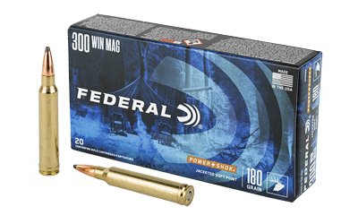 FED Pwrshk 300WIN 180GR SP 20/200