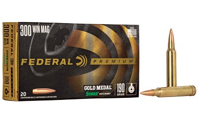 FED Gold MDL 300WN 190GR BTHP 20/200