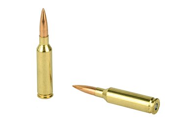 FED Gold MDL 6MMCRD 107GR SMK 20/200 - Image 4