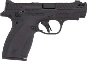 S&W Bodyguard PC Carry Comp - 380 10RD Mags Gray Safety