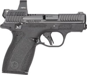 S&W Bodyguard 2.0 RFX1 Sight - 380ACP 10 RD MAG BLK Safety