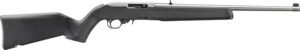 Ruger 10/22 22LR 18.5" - Barrel Stainless Polymer Stock