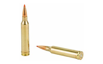 Hrndy SF 7mm MAG 162GR SST 20/200 - Image 4