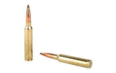 Hrndy PH 300PRC 212GR ELD-X 20/200 - Image 4