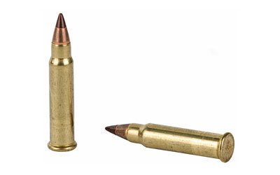 Hrndy 17HMR 15.5GR NTX 50/2000 - Image 4