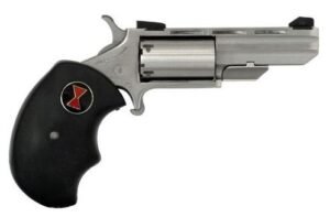 North American Arms 22LR 2" Black Widow SS FS