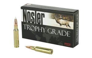 Nosler 308WIN 165GR Ab 20/200