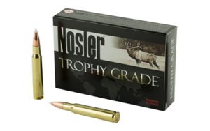 Nosler 30-06 165GR Ab 20/200