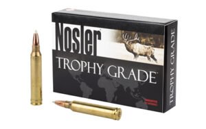 Nosler 300WIN 180GR Ab 20/200