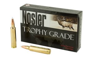 Nosler 30NOS 180GR Ab 20/200