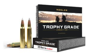 Nosler TG 223REM 70GR Ab 20/200
