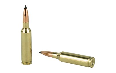 Nosler VG 6mm CRD 70GR FB Tip 20/200 - Image 4