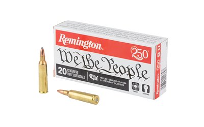 REM We the People 22-250REM 55GR HPR