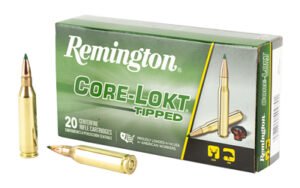 REM 243WIN 95GR Clok Tipped 20/200