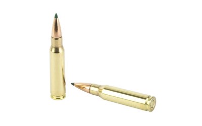 REM 308 WIN 165GR Clok Tipped 20/200 - Image 4
