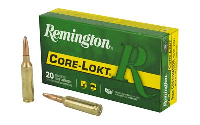 REM 6mm 100GR CM CL 20/200