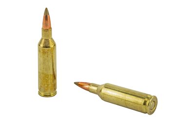 REM PRMR Accu 17FIREBALL 20GR 20/200 - Image 4