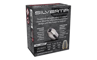 WIN Silvertip HP 380AUTO 85GR 20/200 - Image 2
