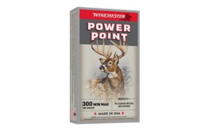 WIN SPRX PWR PNT 300WIN 180GR 20/200
