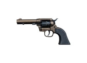 Diamondback Firearms Sidekick 22LR/22M BRZ 4.5" 9RD