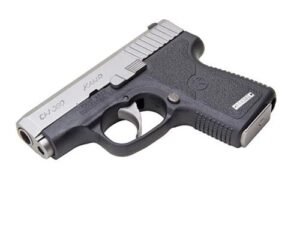 CW380 .380 ACP 2.5' Black/STS w/6rd Mag Front Night Sights